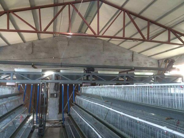 自動喂料機